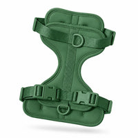 Vert Forêt