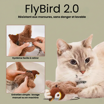 FlyBird — Jouet interactif pour chat