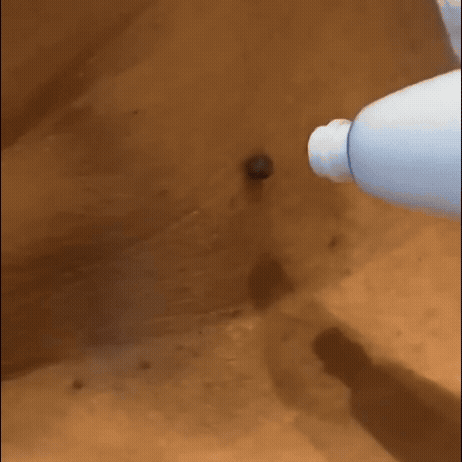 Zyricx™ Kit Complet – Fini les Excroissances Cutanées