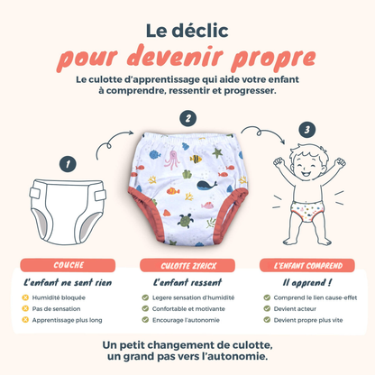 Culotte d'apprentissage