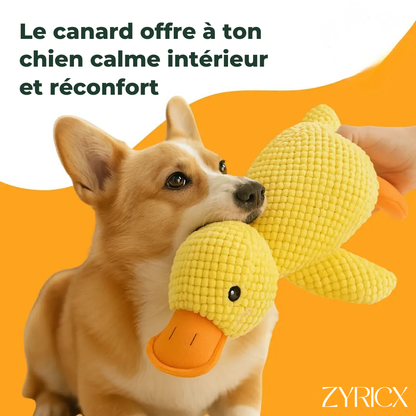 Canard anti-stress