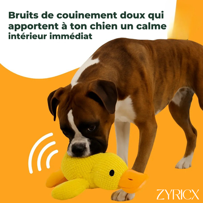 Canard anti-stress