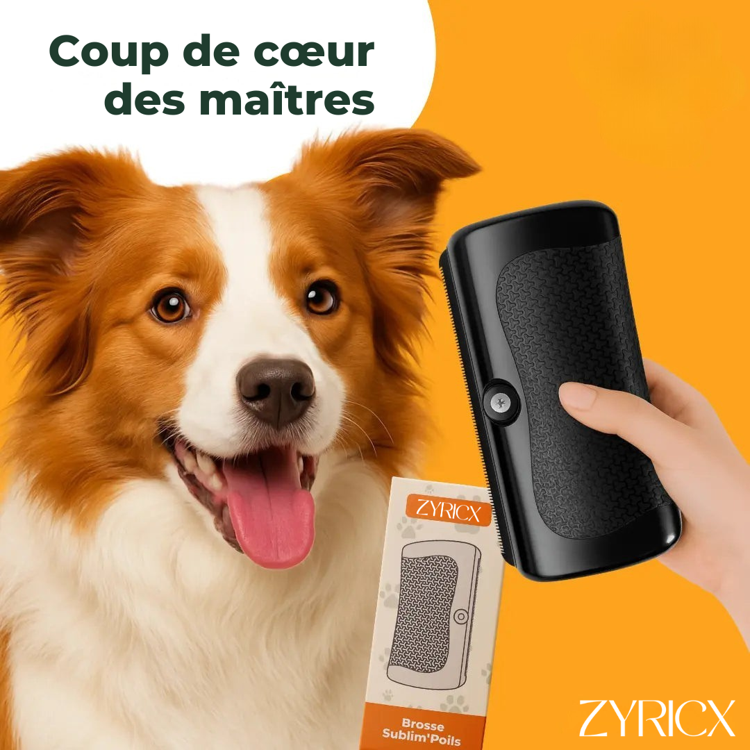 Brosse Sublim’Poils Zyricx