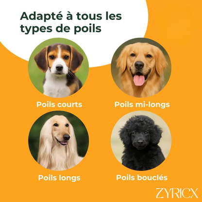 Brosse Sublim’Poils Zyricx