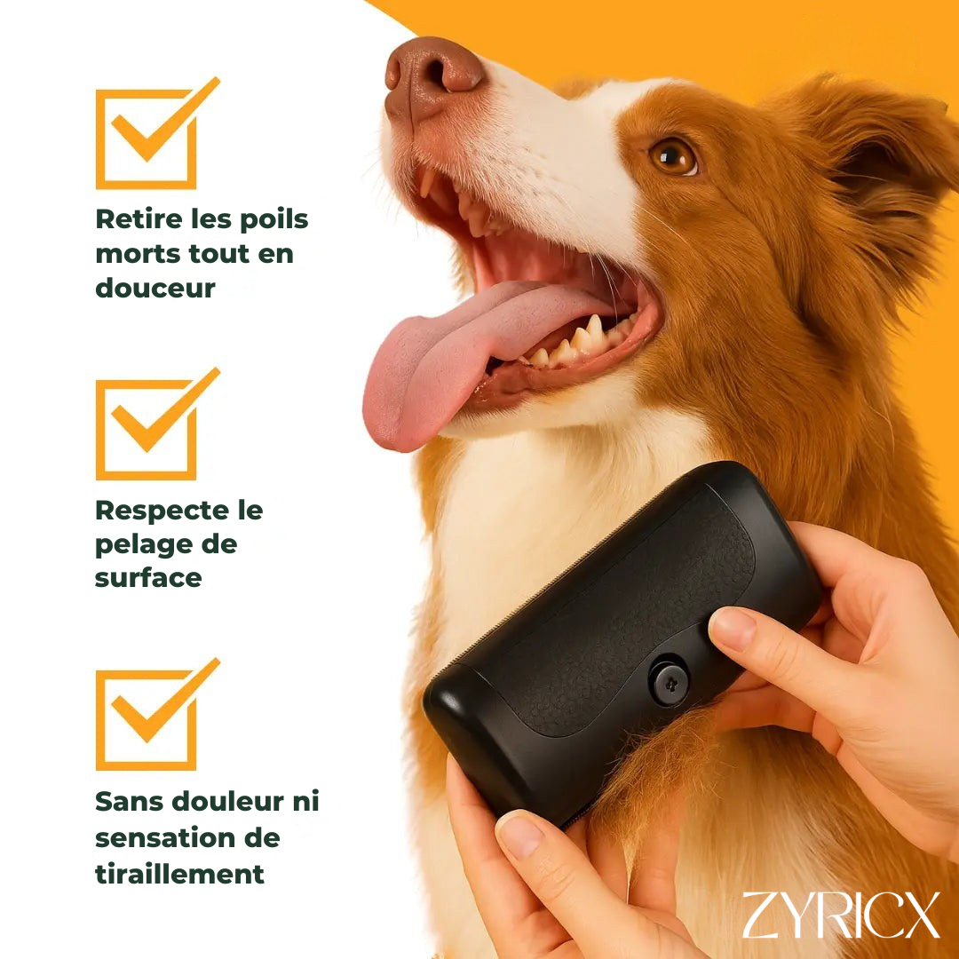 Brosse Sublim’Poils Zyricx