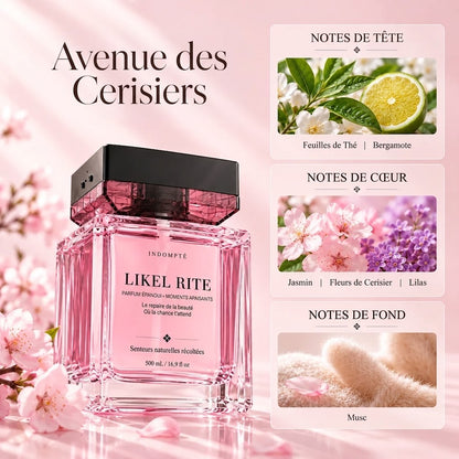 Diffuseur de Parfum d’Ambiance