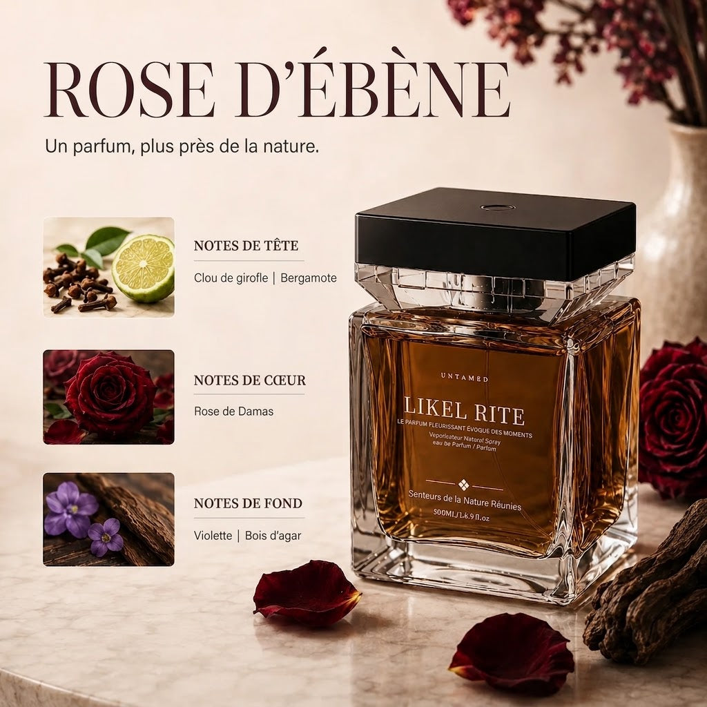 Diffuseur de Parfum d’Ambiance