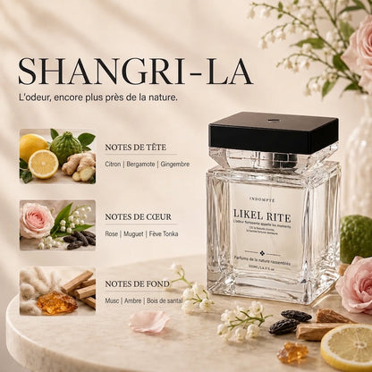 Diffuseur de Parfum d’Ambiance