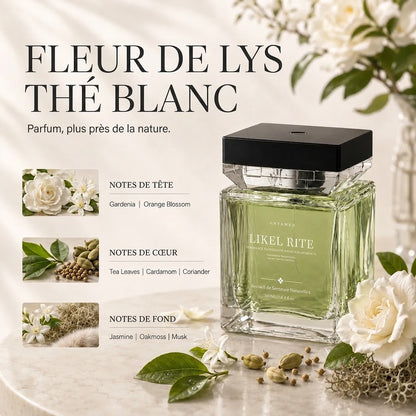 Diffuseur de Parfum d’Ambiance